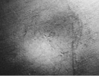 Tȱ6- s ճģ w߅113 (1690)